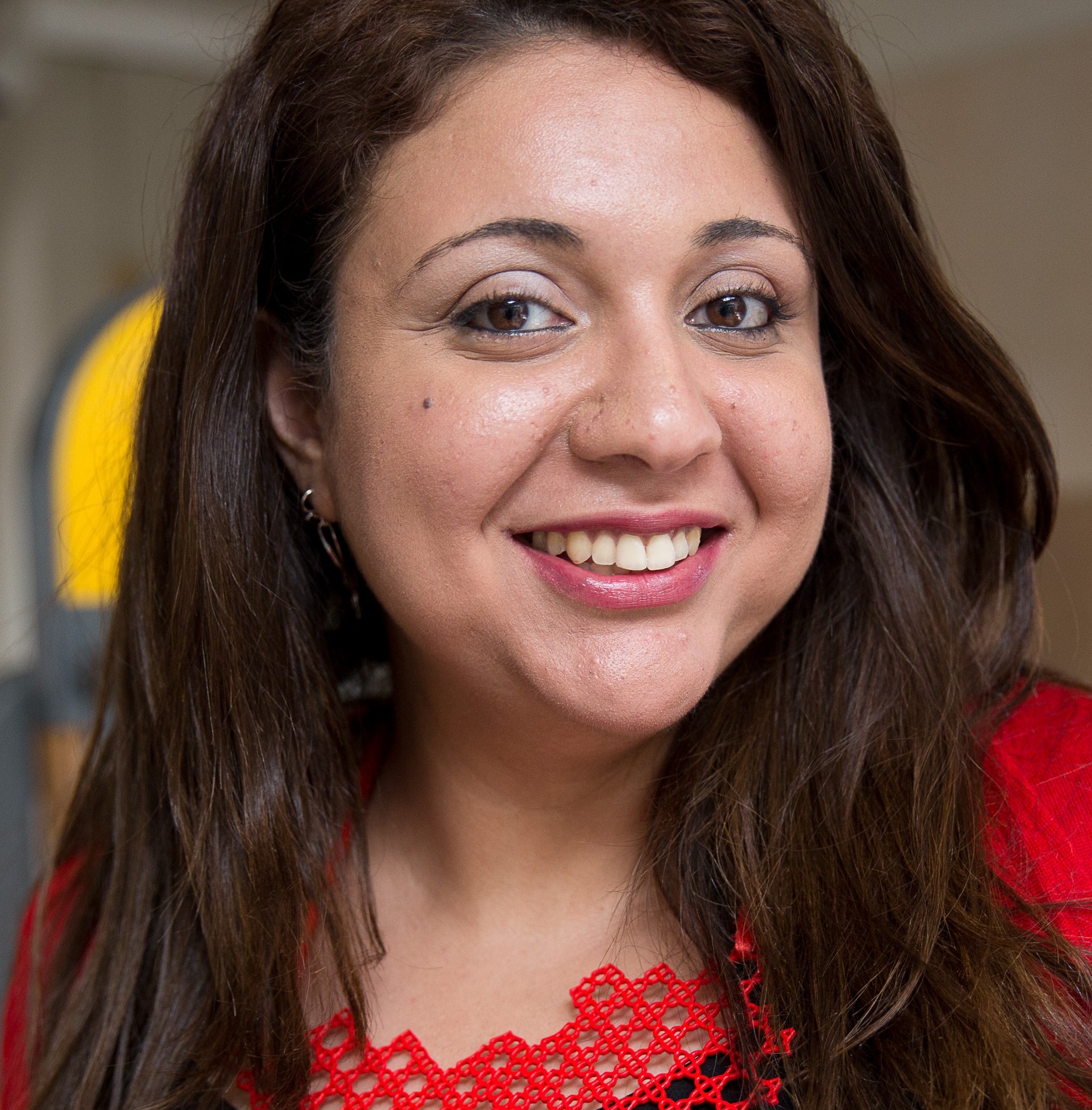 Dina El-Zanfaly : PhD Candidate